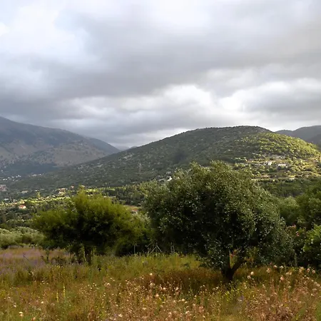 Under The Pine Tree Vakantiehuis *
