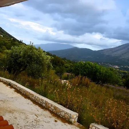 Under The Pine Tree Divarata