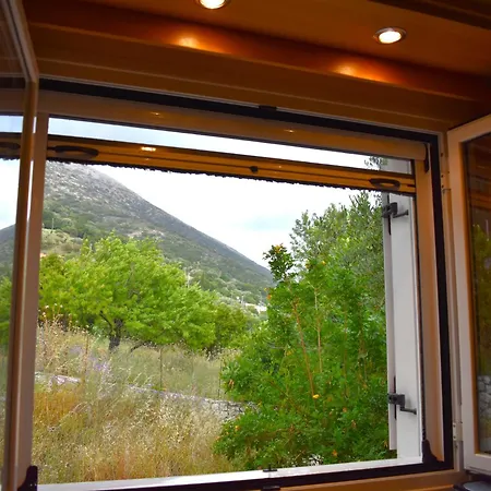 Under The Pine Tree Vakantiehuis *