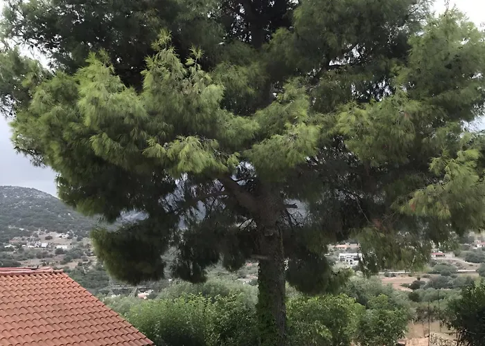 Feriehus Under The Pine Tree *