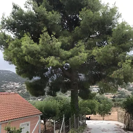 Ferienhaus Under The Pine Tree *