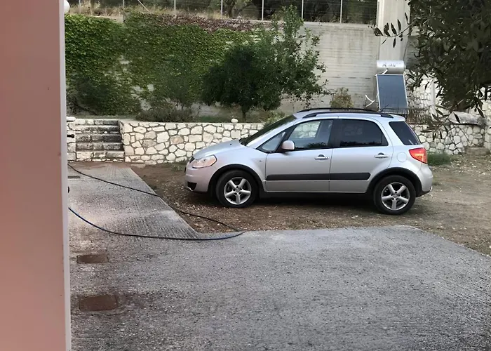 Under The Pine Tree *