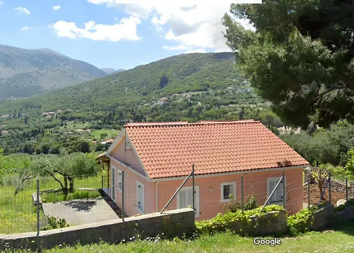 Under The Pine Tree *