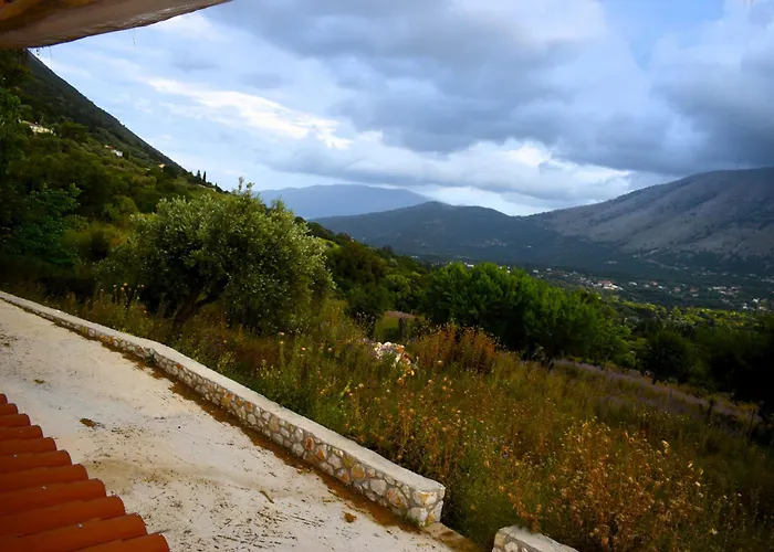 Under The Pine Tree Divarata