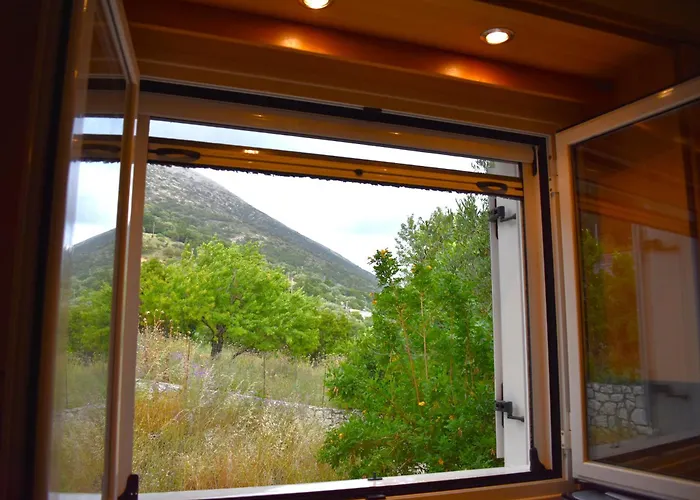 Under The Pine Tree Holiday home *