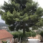Casa vacanze Under The Pine Tree *